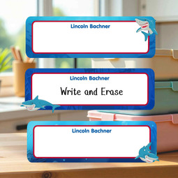 Reusable Write On Labels, Large