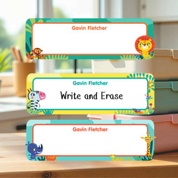Reusable Write On Labels, Large