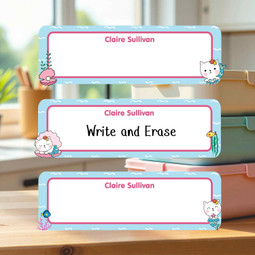 Reusable Write On Labels, Large