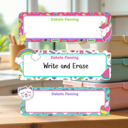 Reusable Write On Labels, Large