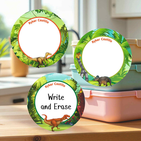 Multi-surface large round write-on labels dinosaur pattern personalized name tags