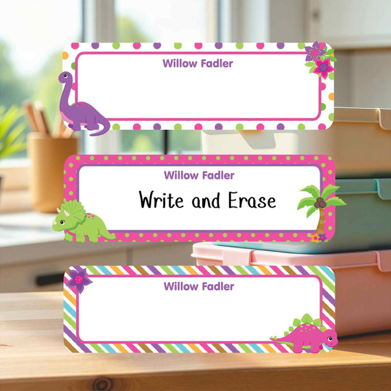 Reusable Write On Labels, Large