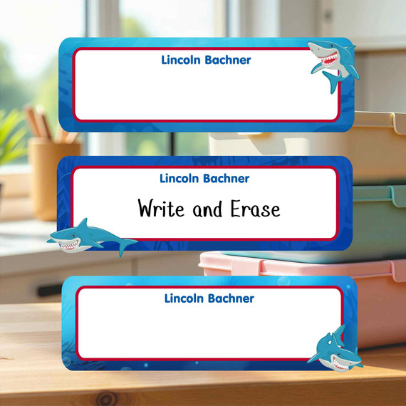 Reusable Write On Labels, Large