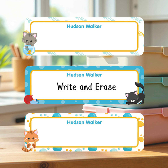 Reusable Write On Labels, Large