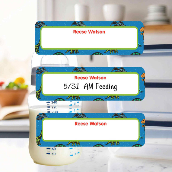 Dino Fossils small rectangle write-on labels — reusable waterproof