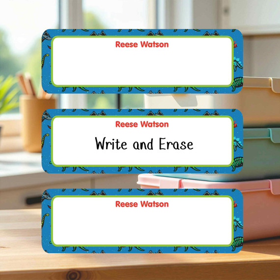 Reusable Write On Labels, Large