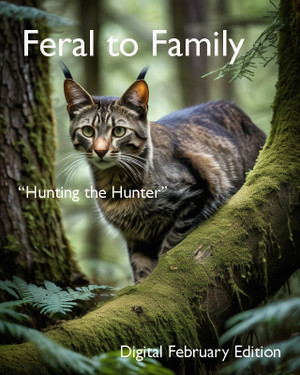 Feral to Family - Blog February