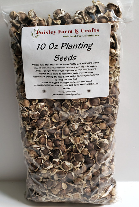 Moringa Oleifera PKM1 Seeds - US Customs Cleared - All Natural! Moringa Oleifera PKM1 Seeds - US Customs Cleared - All Natural!