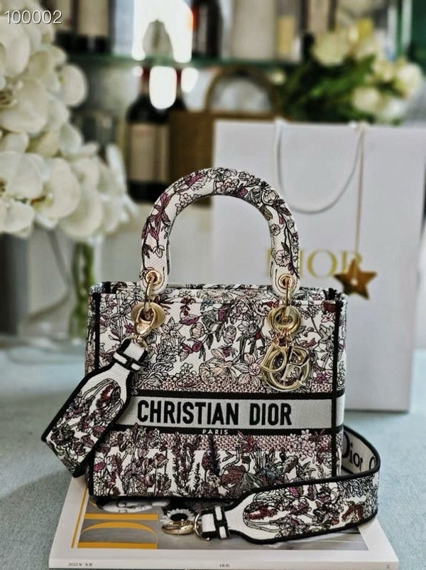 Christian Dior Lady D-Lite Medium Bag 24cm 4 Saisons Hiver Embroidery, White Multicolor