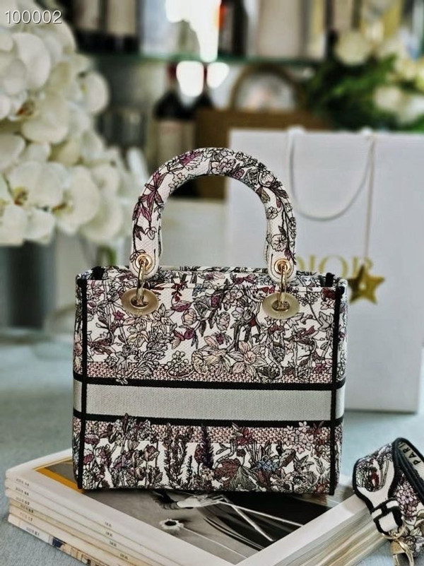 Christian Dior Lady D-Lite Medium Bag 24cm 4 Saisons Hiver Embroidery, White Multicolor