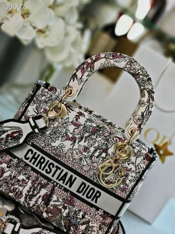 Christian Dior Lady D-Lite Medium Bag 24cm 4 Saisons Hiver Embroidery, White Multicolor