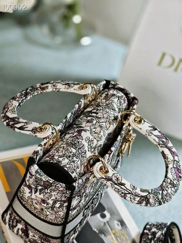 Christian Dior Lady D-Lite Medium Bag 24cm 4 Saisons Hiver Embroidery, White Multicolor