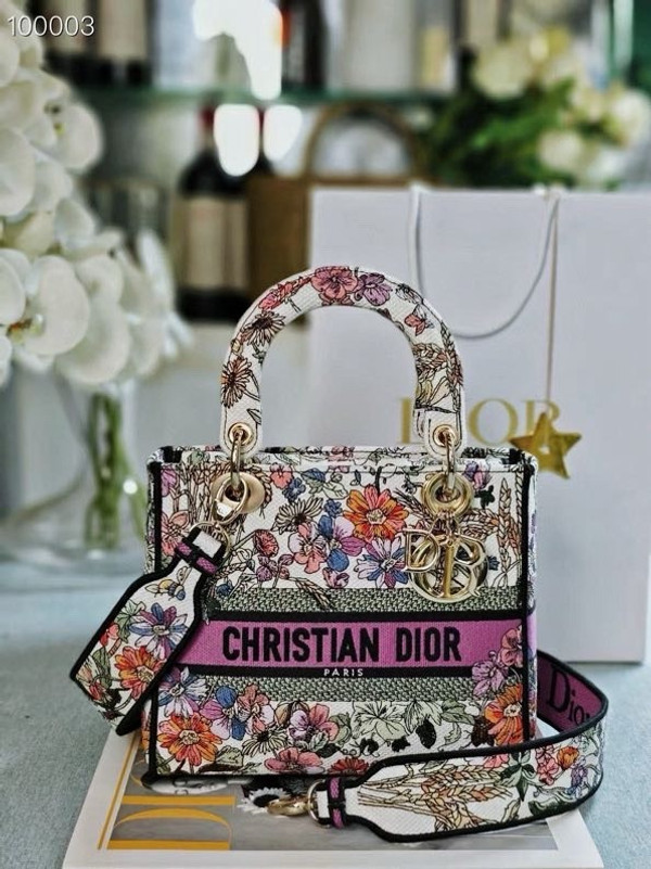 Christian Dior Lady D-Lite Medium Bag 24cm 4 Saisons Été Embroidery, White Multicolor