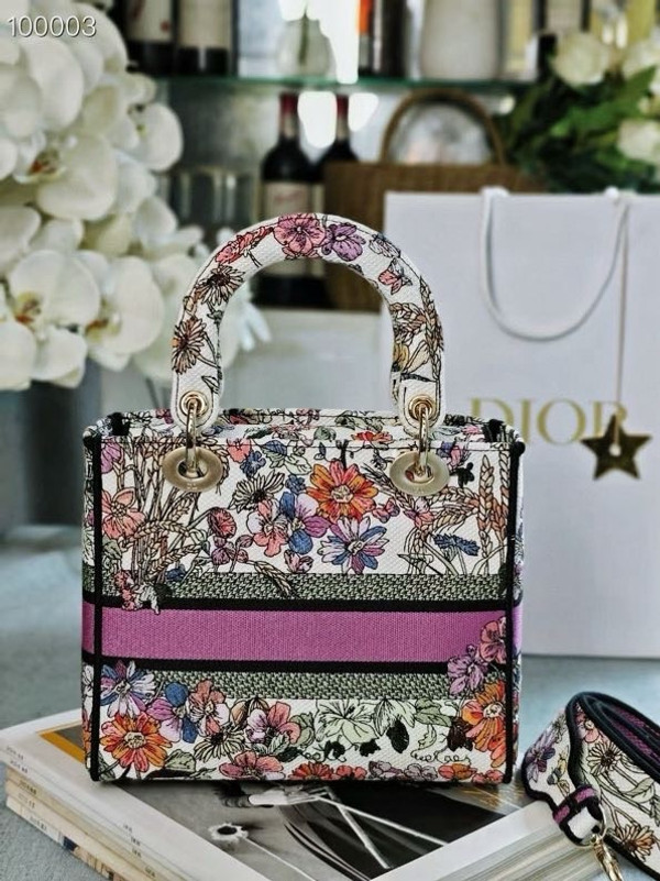 Christian Dior Lady D-Lite Medium Bag 24cm 4 Saisons Été Embroidery, White Multicolor