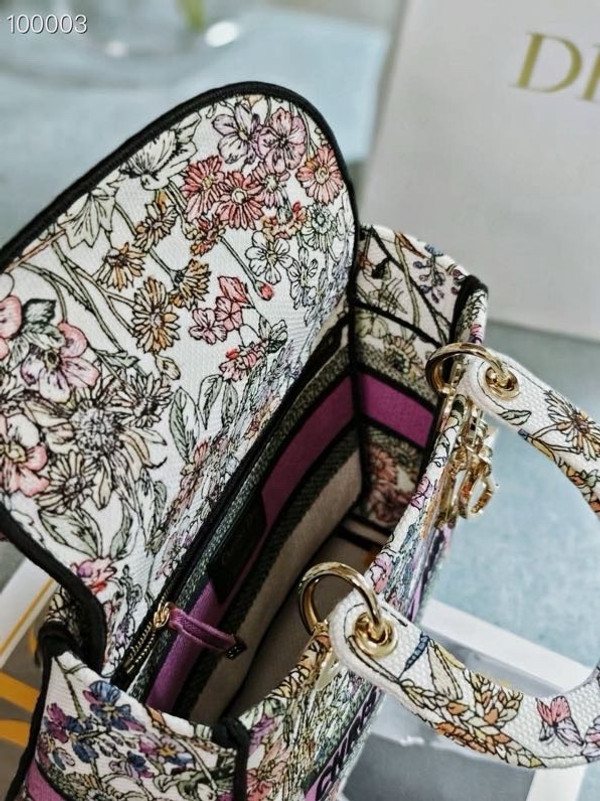 Christian Dior Lady D-Lite Medium Bag 24cm 4 Saisons Été Embroidery, White Multicolor