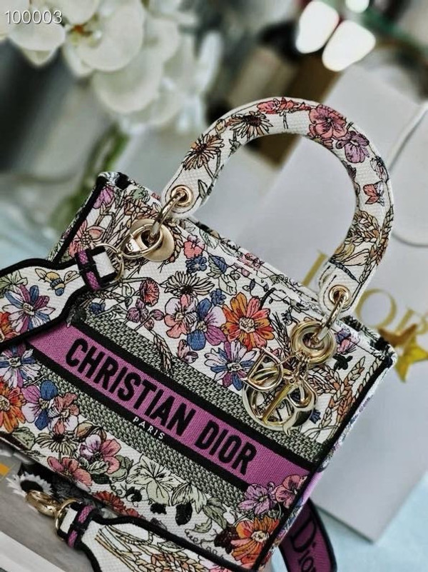 Christian Dior Lady D-Lite Medium Bag 24cm 4 Saisons Été Embroidery, White Multicolor