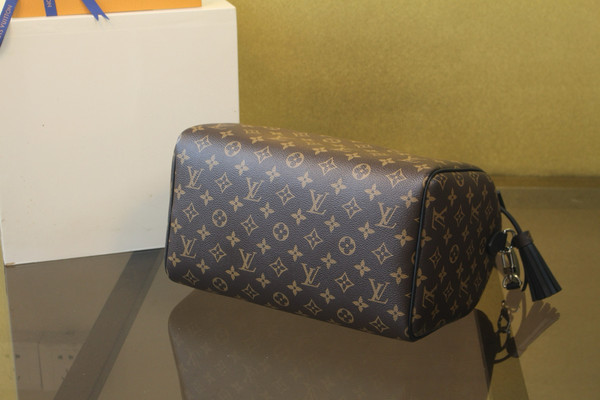 Louis  Vuitton Speedy Soft 30 Dark Monogram Canvas M12243, Noir
