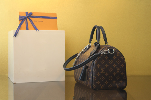 Louis  Vuitton Speedy Soft 30 Dark Monogram Canvas M12243, Noir