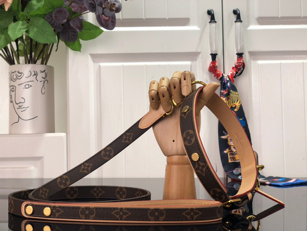 Louis Vuitton Dog Leash and Collar MM Monogram Canvas M80340, Brown