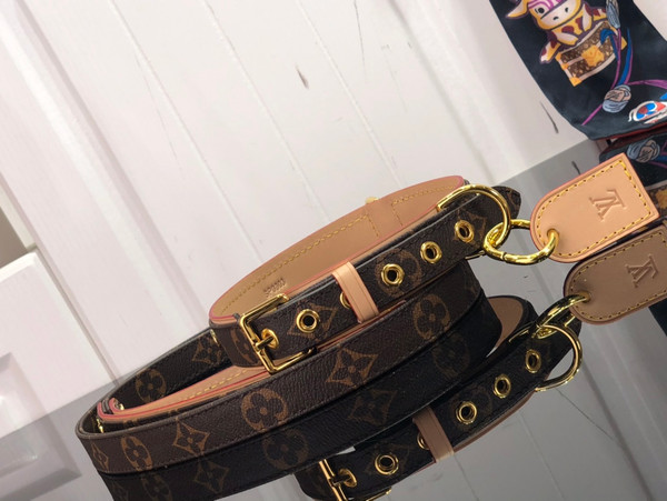 Louis Vuitton Dog Leash and Collar MM Monogram Canvas M80340, Brown