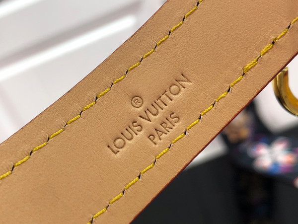 Louis Vuitton Dog Leash and Collar MM Monogram Canvas M80340, Brown