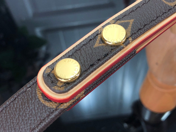 Louis Vuitton Dog Leash and Collar PM Monogram Canvas M80339, Brown