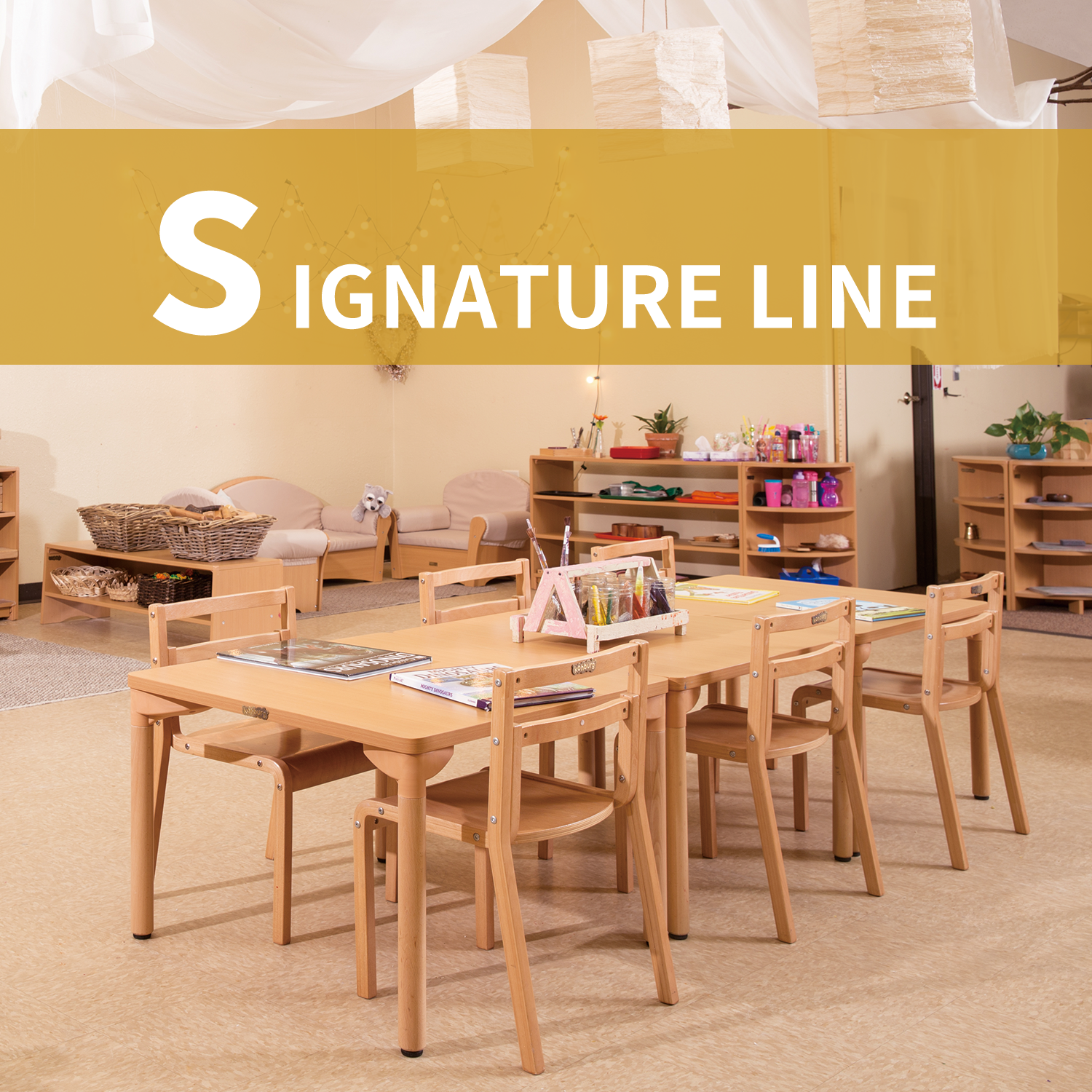  Signature Line
