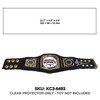 WWE Royal Rumble Mini Belt