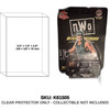 Hollywood Hogan nWo Nitro Streetrod Racing Champions 1:64
