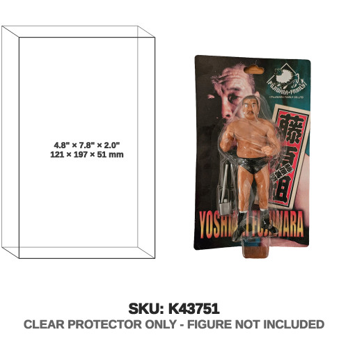 Japan Wrestling Fujiwara Family