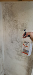 Treating Mouldy Interior Walls with Auro 