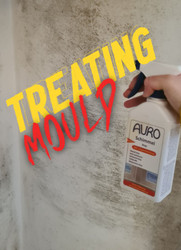 Treating Mouldy Interior Walls with Auro 