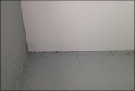 How to get rid of mould in bathroom