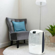 Ebac Dehumidifier for Condensation