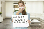 Indoor Air Quality: Paints, Products & Plants