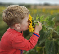Celebrating “Grow to Learn – Lifelong lessons from the allotment,” Hosted by the National Allotment Society 