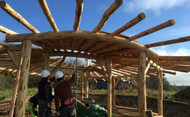 Natural Building: Round Timber Frame Construction with Ty Pren