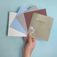 Earthborn Claypaint Swatches – Now Available!