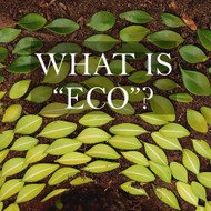 What is "Eco"?
