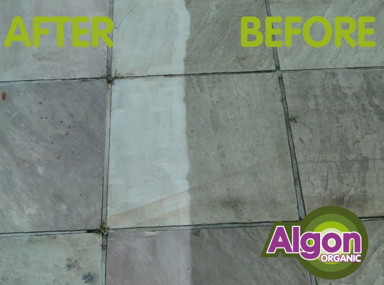 Block Paving Cleaner Algon is Organic & Pet Safe Best Block Paving