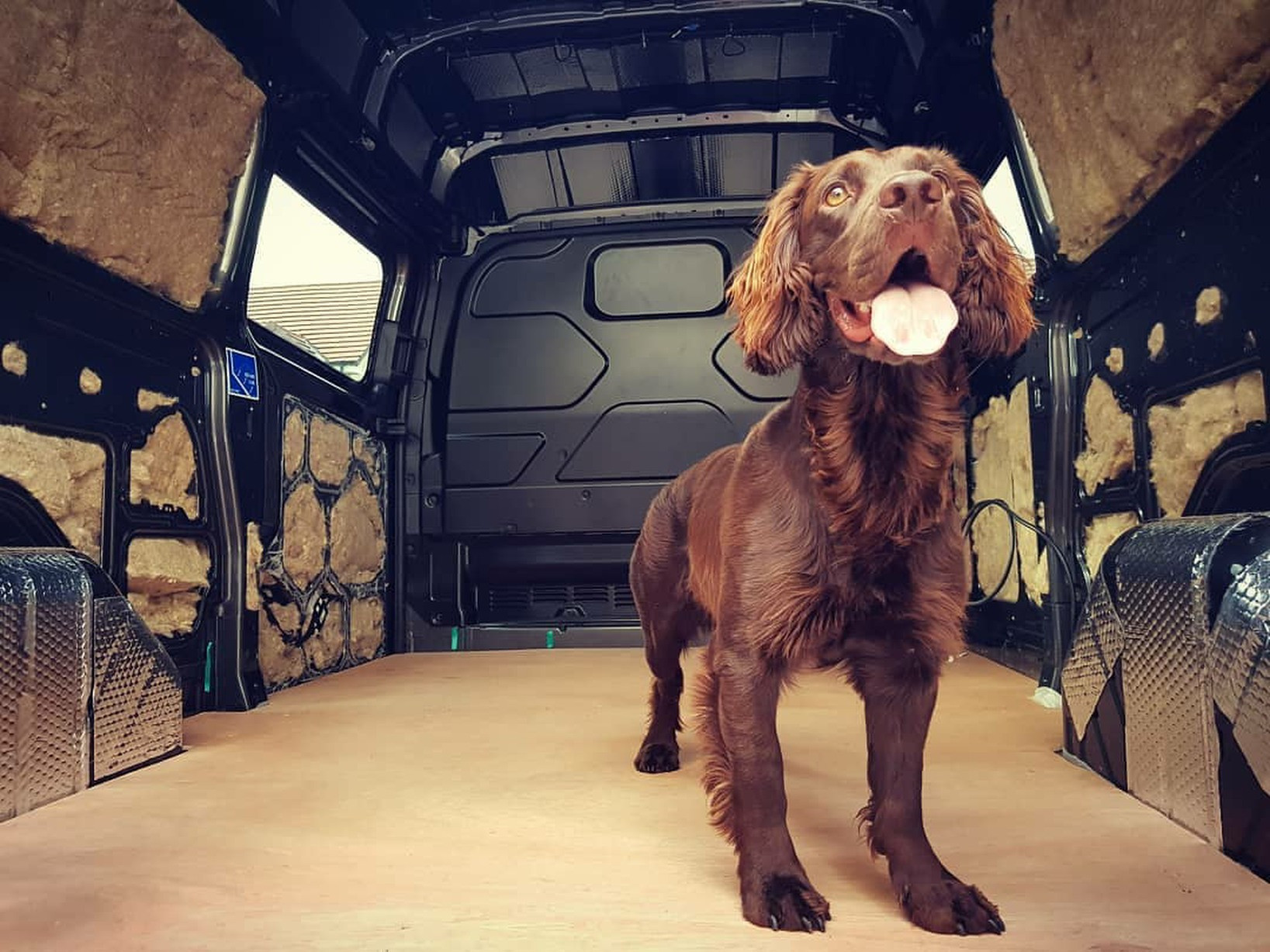 Van Conversion Insulation FAQs - Using sheep wool insulation or polyester insulation