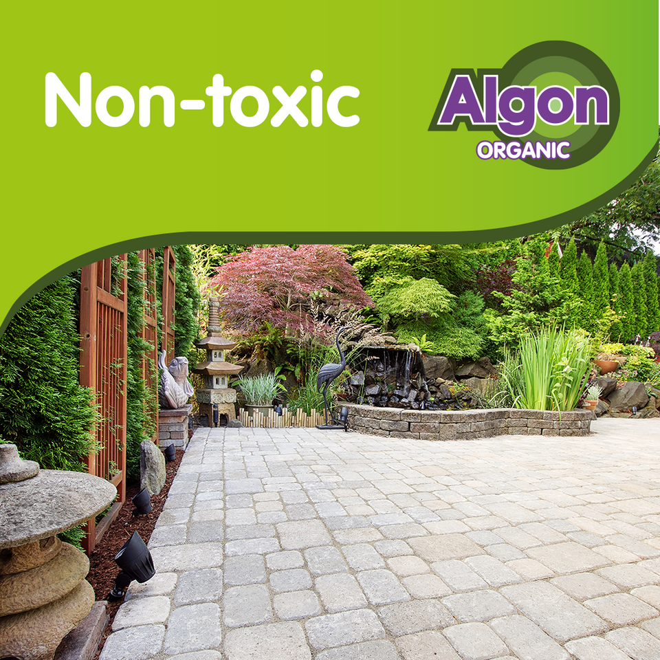 Block Paving Cleaner Algon is Organic & Pet Safe Best Block Paving