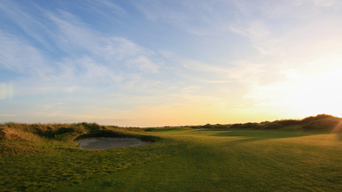 Gulf Annual Ryegrass