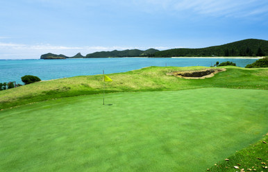 bentgrass pure seed