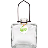 Meet the Best Sellers: Briliant Colourful Glass Vases.