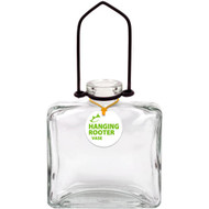 Meet the Best Sellers: Briliant Colourful Glass Vases.