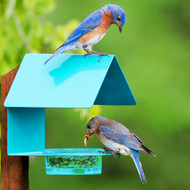 Garden Delights: Colorful Bird Feeders & Baths