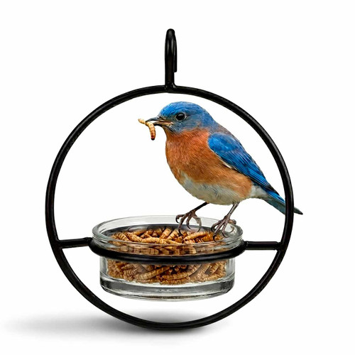 Mosaic Birds Hummble Basic Bird Feeder