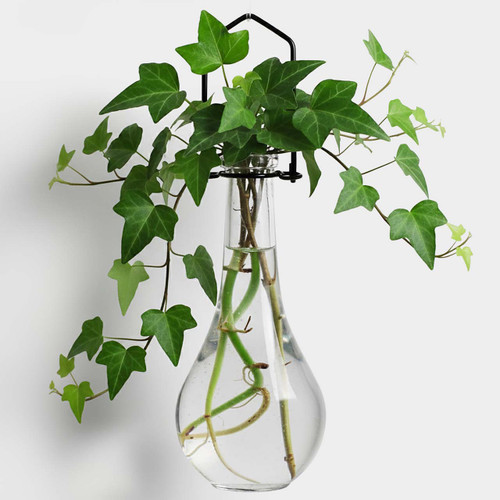 Hanging Propagation Vase, Drop Bottle