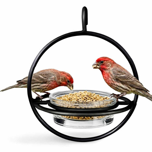 Mosaic Birds Hummble Bold Bird Feeder with Finches